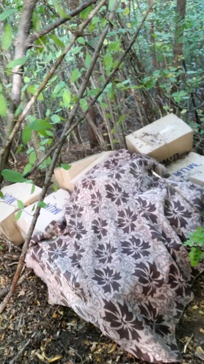 Полицията в Смолян разби канал за контрабанда на цигари, трима в ареста