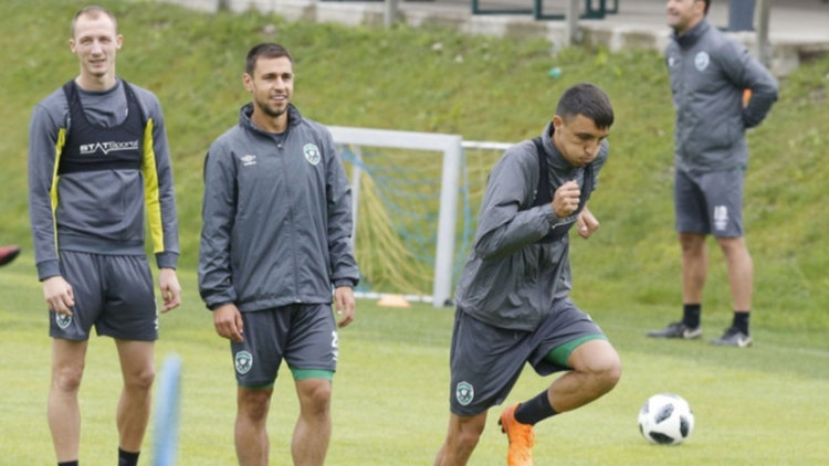 Защитник на Лудогорец ще подсилва Арда