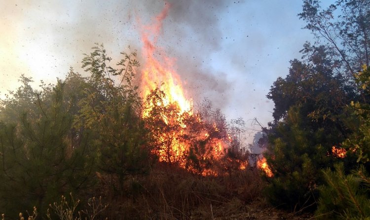 Започнаха земеделските пожари от небрежни стопани, два за денонощие