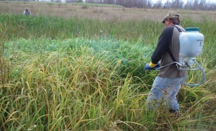 Трудовата инспекция проверява 46 предприятия в Хасковско за работа с опасни препарати