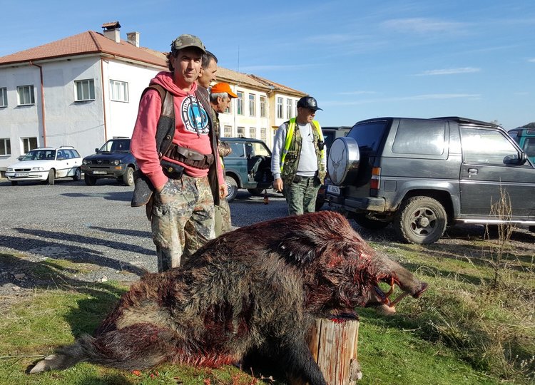 Над 600 ловци от Кърджали откриха груповия лов на глигани