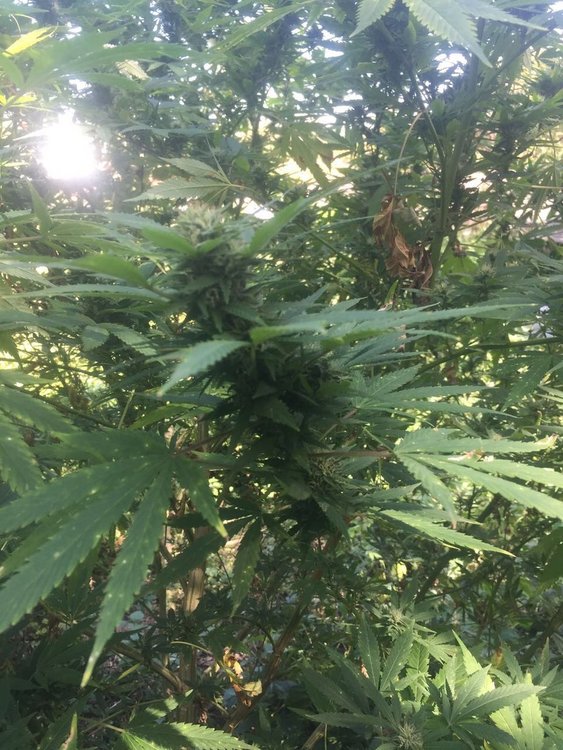 снимка: МВР