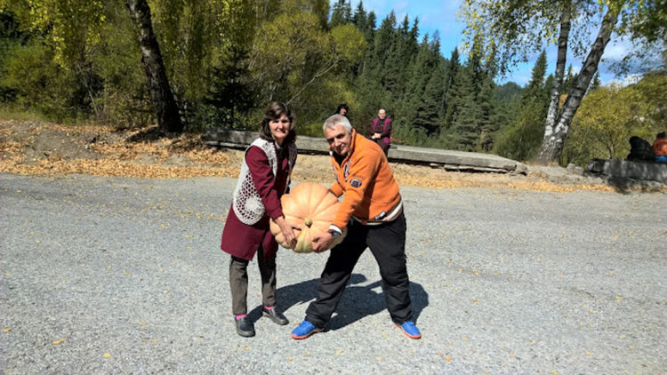 Семейство родопчани отгледа тикви гиганти