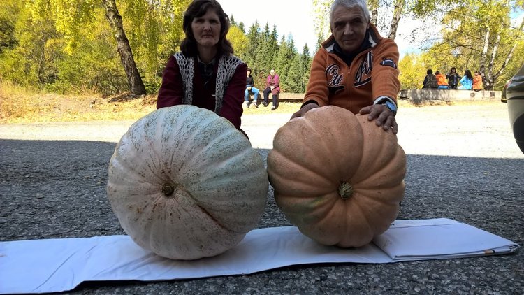 Семейство  Венко и Мейка Джамбазови са горди с домашната земеделска продукция, снимки: Вестник на Община Доспат