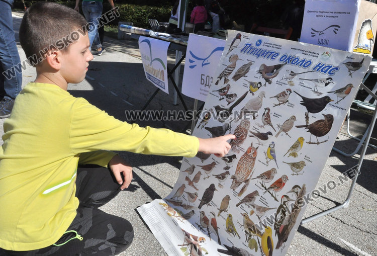 Хасково е част от Европейските дни на птиците