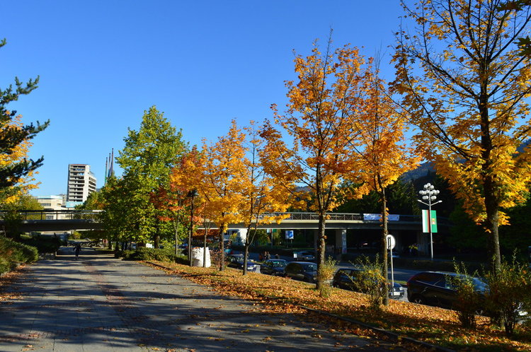 Последен ден като лято, до 20 градуса в понеделник