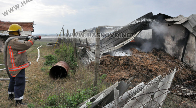 Емин Шукриев: 13 крави и 12 телета изгоряха пред очите ми