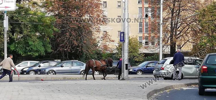 Роми с каруца се забиха в Тойота до Цигарената и офейкаха
