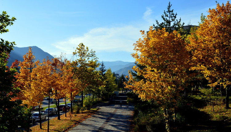 Събота: ветрец, облаци и по-малко слънце