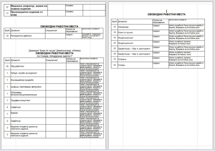 Близо 300 свободни работни места обяви Бюрото по труда в Димитровград