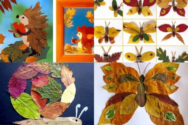 Над 500 деца ще бъдат включени в горската кампания "Шарена есен"