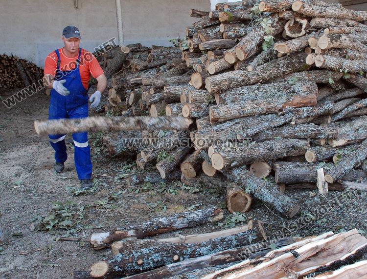 Общинските дърва за огрев с 5 лв. по-скъпи, 16 села снабдени, 10 още чакат 
