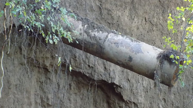 Сн.: Община Лом