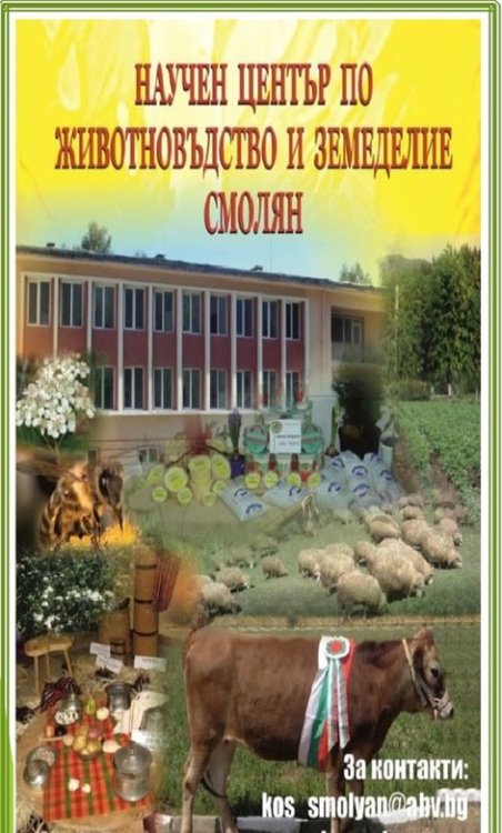 Научният център, създал уникалната порода "Родопско говедо", отбеляза 90 годишен юбилей