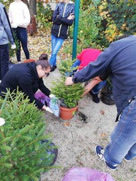 Златоградски ученици подаряват 30 елхи в саксии на учреждения