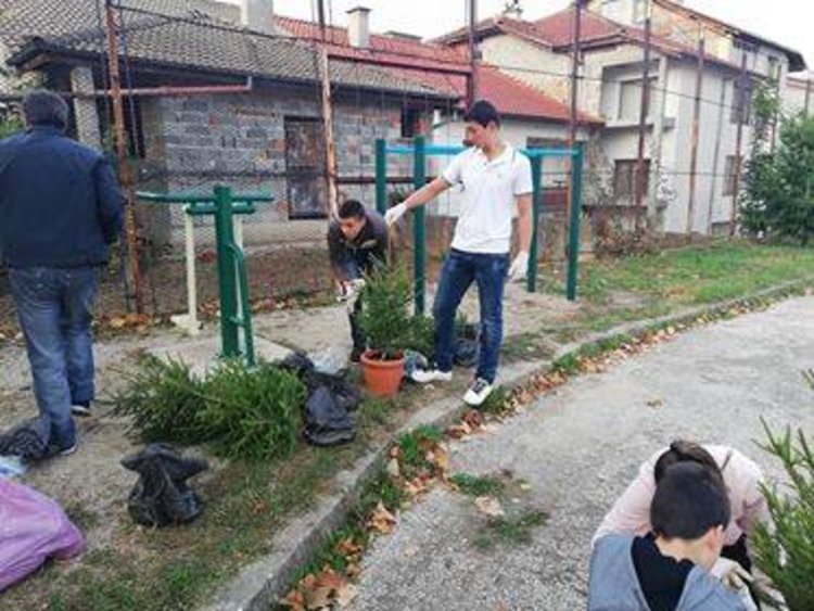 Златоградски ученици подаряват 30 елхи в саксии на учреждения