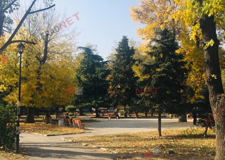 ДГ "Никола Й. Вапцаров" сред наградените в "Засаждаме бъдеще"