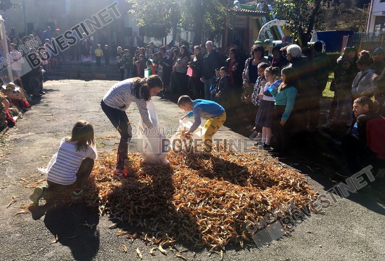 Децата се забавляваха в игри по бързина и сръчност, но се оказа, че не е толкова лесно да се напълни чувал с бобените шушулки и шума, които остават след очукването на зърната