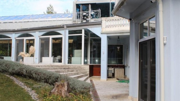 Баневи източвали пари през офшорки 