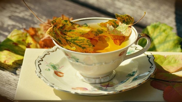 Топла неделя с температури до 22 градусаа