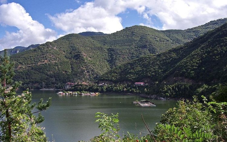 Селото се намира в непосредствена близост до яз. "Въча", а сечта е извършена в землището в държавна гора, снимката е илюстративна