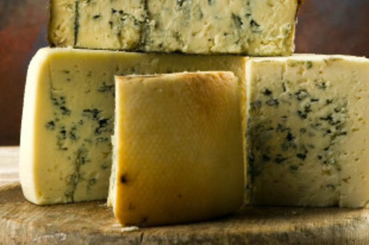 Кашкавал с плесен от хасковска фирма доставен в училища и градини