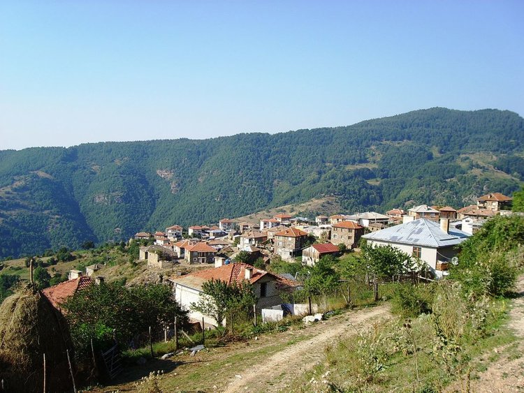 Мъж откри кучето си простреляно в близост до дома си