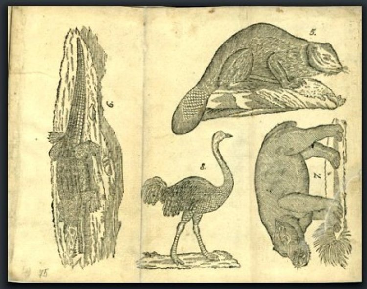 "Буквар с различни поучения" или "Рибен буквар" на Петър Берон (1824) 