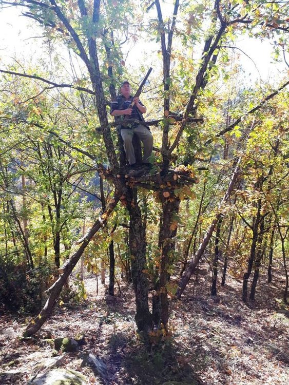 Два приплода отстреляха ловците от дружинката в „Ардино 1“