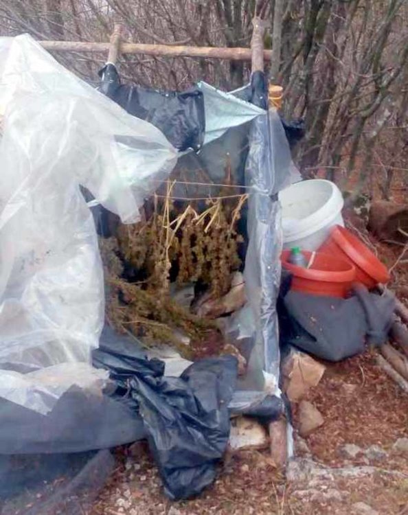 снимка архивен кадър