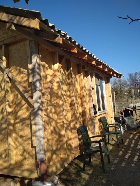 Млaдоженци събраха средства за бездомни кучета в Хасково от парите за букети