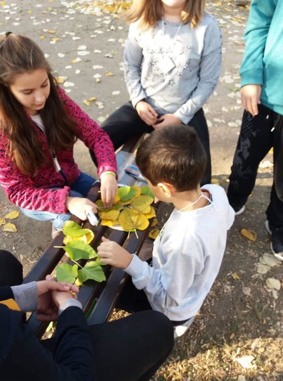 "Шарена есен" развълнува ученици и учители
