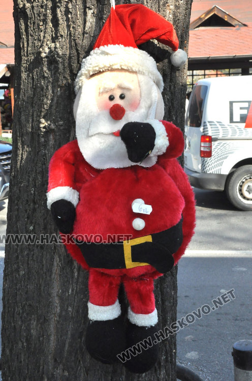 Първите елхи в Хасково от 2.50 до 250 лева