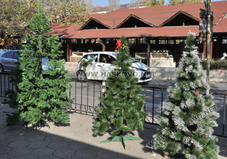 Първите елхи в Хасково от 2.50 до 250 лева