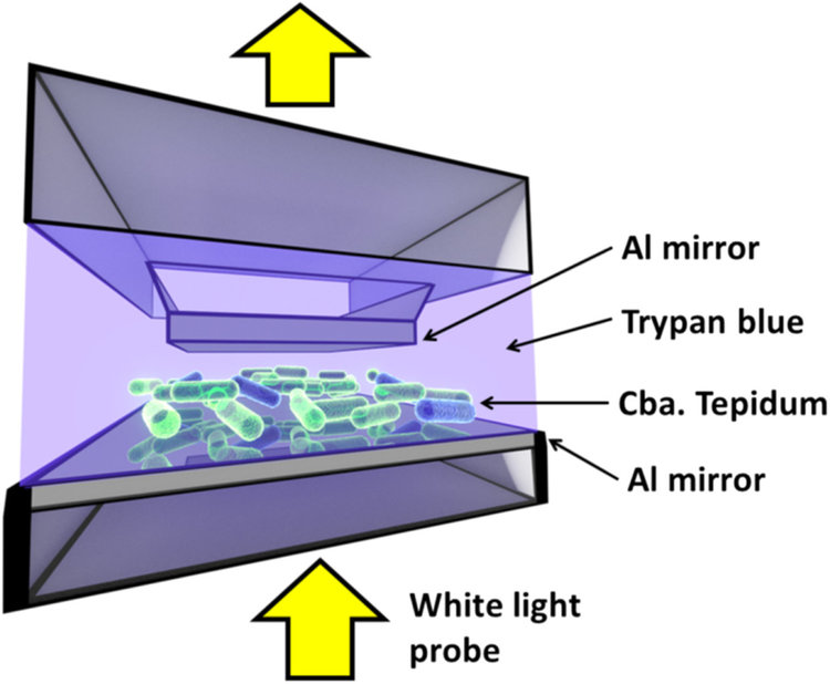 Схема на експеримента