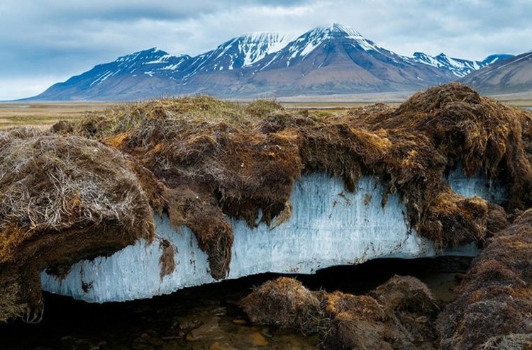 В Сибир топло, у нас суша