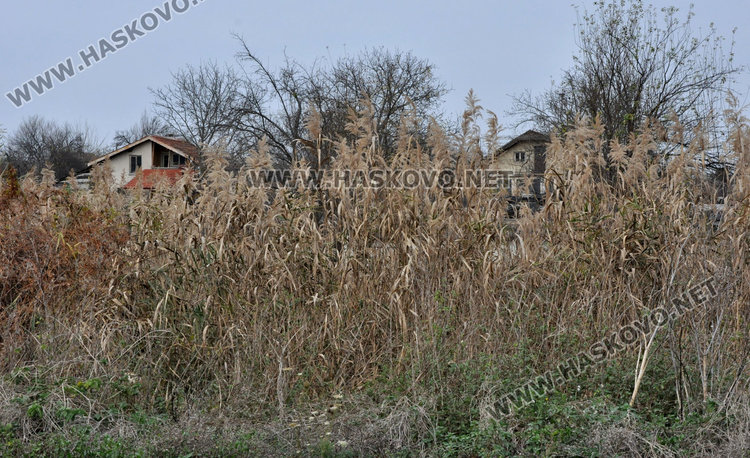 Затлачено дере със саморасляци застрашава дома на 75-годишен инвалид