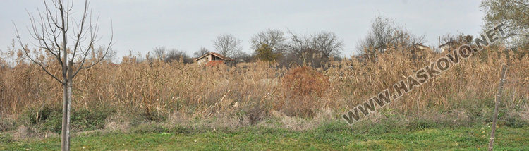 Затлачено дере със саморасляци застрашава дома на 75-годишен инвалид
