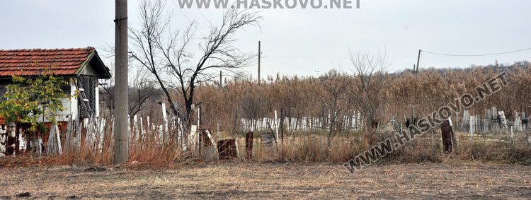 Затлачено дере със саморасляци застрашава дома на 75-годишен инвалид