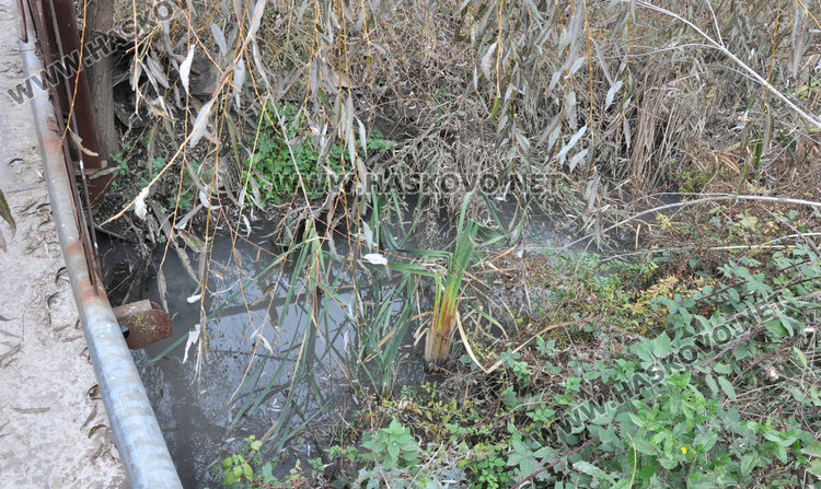 Затлачено дере със саморасляци застрашава дома на 75-годишен инвалид