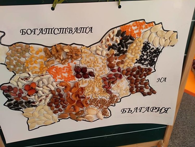 Децата от ДГ №4 с изложба на тема "Детето и природата" 