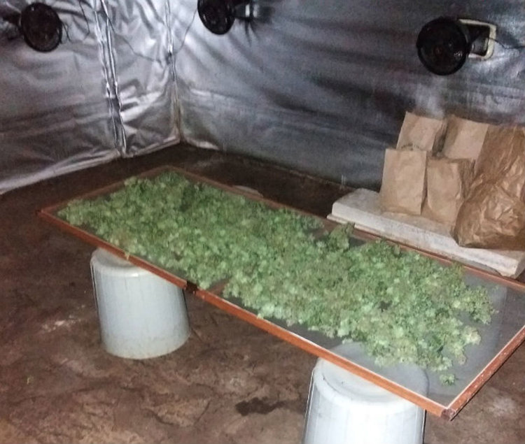 Снимки: ОД на МВР