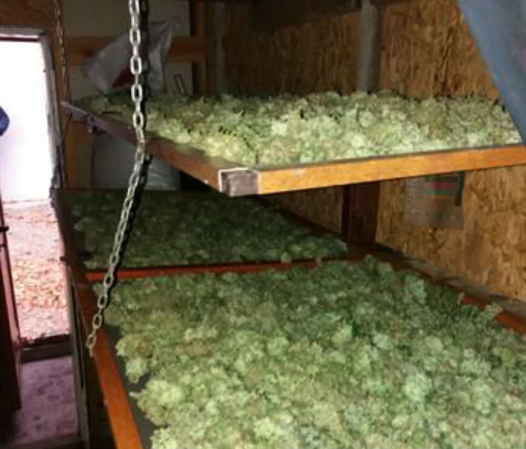 Снимки: ОД на МВР