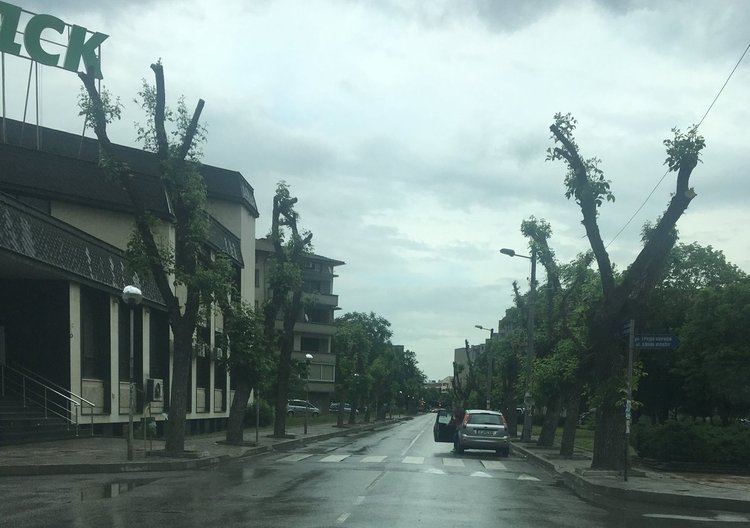 Изключително безочливо паркиране в Димитровград