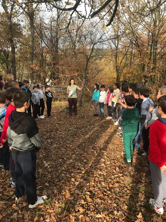 Над 500 деца участваха в кампанията „Шарена есен“