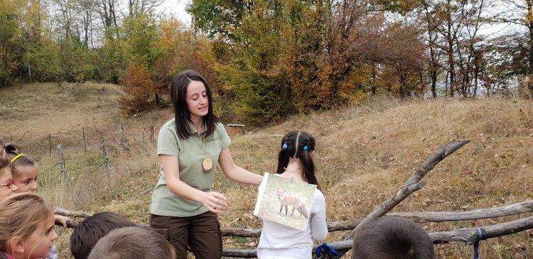 Над 500 деца участваха в кампанията „Шарена есен“