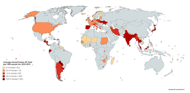 Масово използвани инсектициди влияят по време на бременността на интелигентността и нервната система на детето
