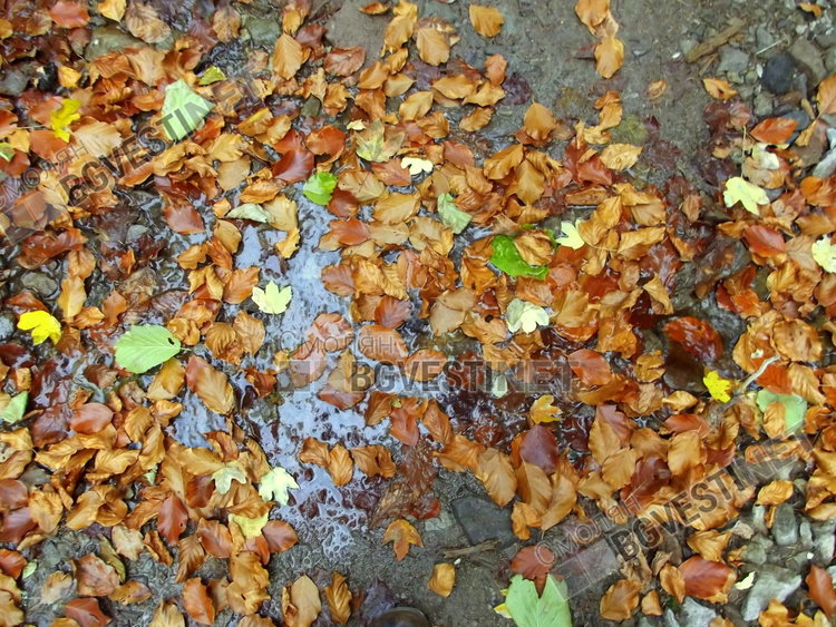 Понеделник облаци и дъжд, но топло, серията продължава със рязко застудяване 