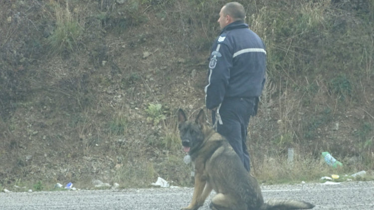 Полицаи и пожарникари издирваха с куче изчезнала старица