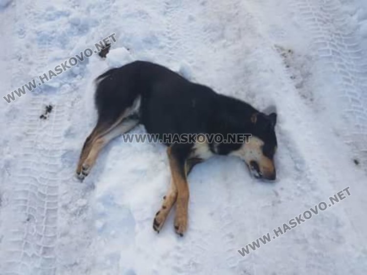 снимката е архивен кадър